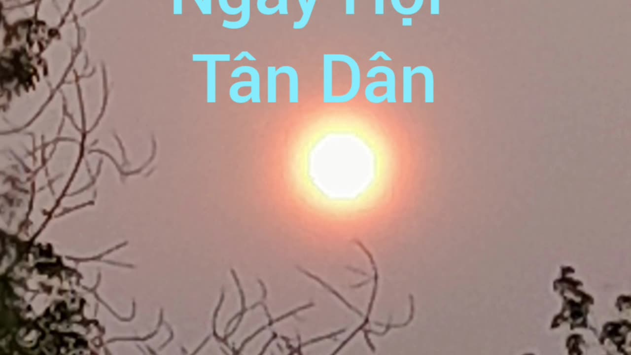 ngày hội tân dân ( hội long hoa )