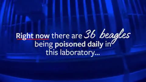 🆘🇺🇸 Reminder: Fauci funded experiments which ripped out the vocal cords of beagle puppies …