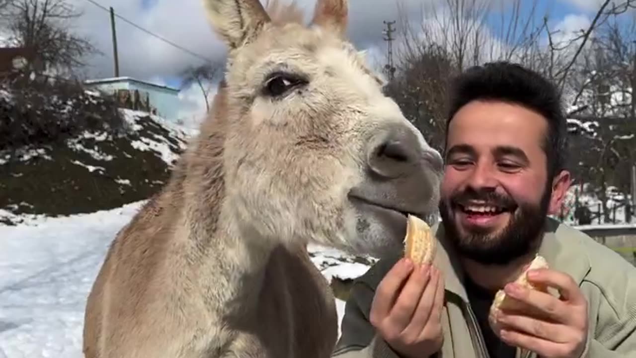 We continue to take Vitamin C supplements 😋