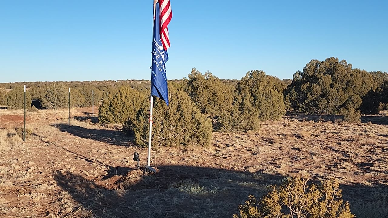 Pledge 1-31-25