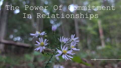 The Power Of Commitment In Relationships