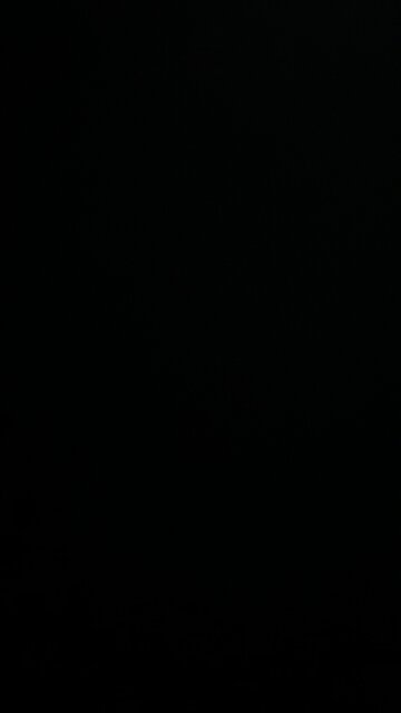 Flight or fight response