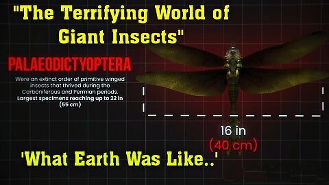 What Was Earth Like During the Carbon Era - The Terrifying World of Giants | RayderMediaTV