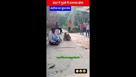 बन्दर डांस