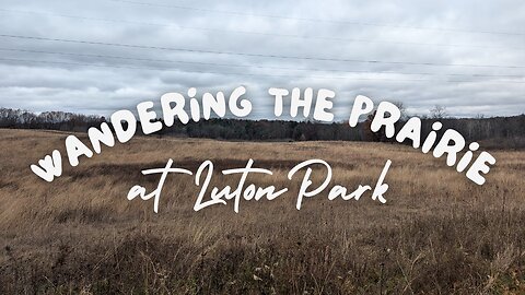 Exploring the Prairie at Luton Park | Full Hike POV | Hiking ASMR, Nature ASMR | Kent, MI