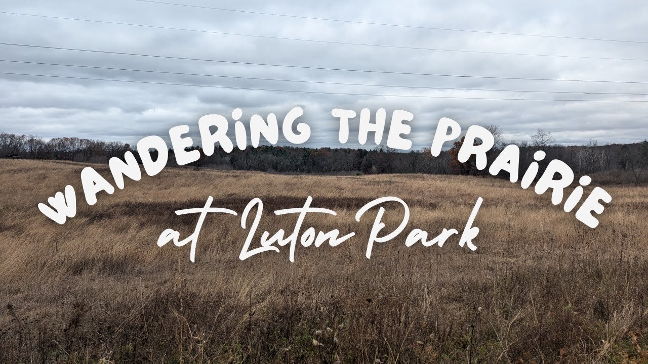 Exploring the Prairie at Luton Park | Full Hike POV | Hiking ASMR, Nature ASMR | Kent, MI