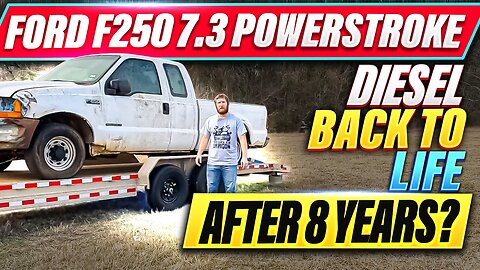 arine Vet - Long-Idle Ford F250 7.3 Powerstroke Diesel: Will It Roar Back to Life after 8 years?