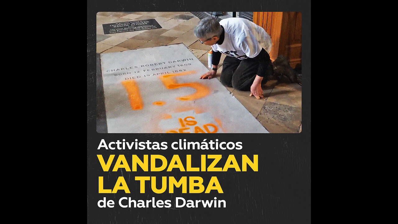 “1,5 ha muerto”: Activistas climáticos vandalizan la tumba de Charles Darwin