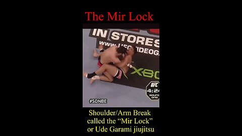 The Mir Lock