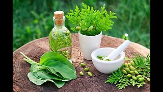 Foundations of Herbal Medicine-With Julian Barker
