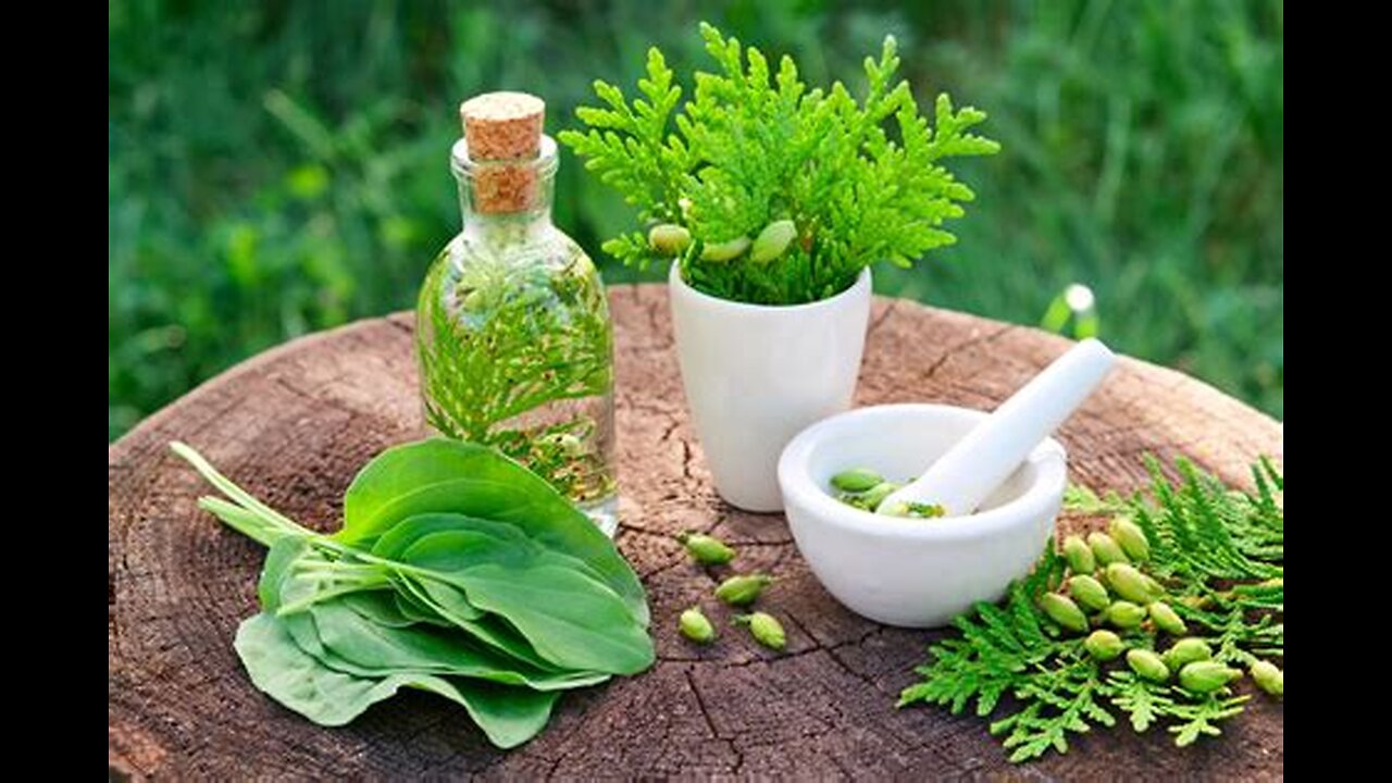 Foundations of Herbal Medicine-With Julian Barker
