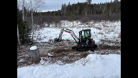 Weed wacking a swamp with an excavator.