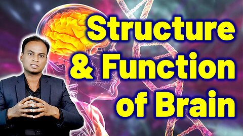 Structure Function of Brain in CJD, Prion Disease, Mad Cow, CWD | Treatment | Neurology Psychiatry