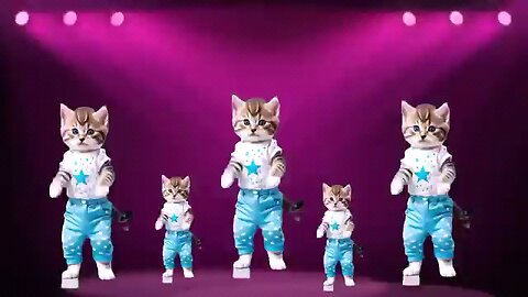 😻Cat videos funny dance 💃😃Videos for catsv#funnycats #dancingcat #catlovers @furry-cornerz