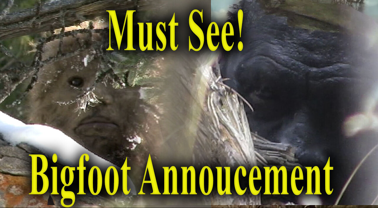New Bigfoot Announcement