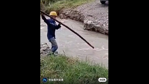 Funny videos