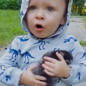 "Adorable Little Child Expressing Love for a Baby cats"