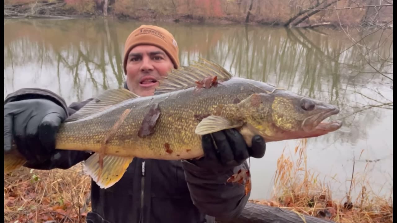 "Unbelievable Catch! Monster Walleye Couldn’t Resist THIS Lure!" Berkeley Scented Shad Pro Pack!