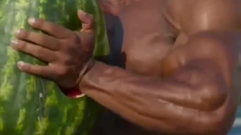 Larry Wheels vs. Watermelon: Epic Hand Smash