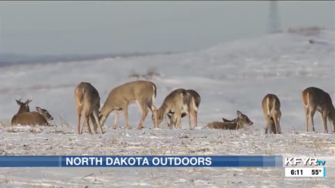 North Dakota Outdoors: Winter Wildlife