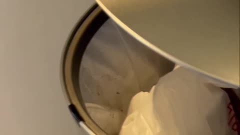 Our Honest Review of the Simplehuman 12 Gallon Trash Can