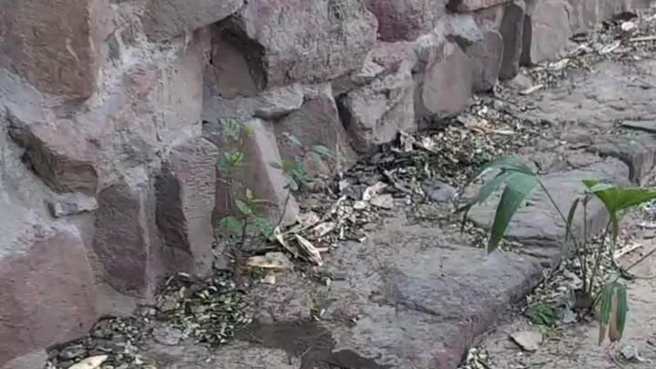Dells, bridges & stones
