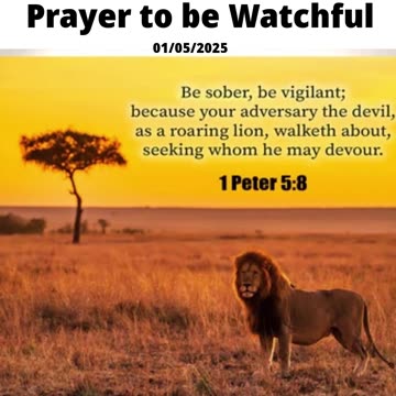 Prayer to be Watchful #youtubeshorts #grace #jesus #mercy #faith #fyp #trust #joy #blessed #love