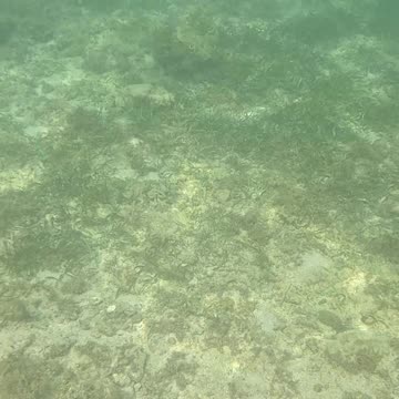 Snorkeling, Underwater Is My Happy Place!