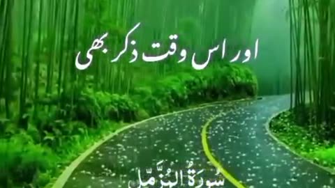 Beshak 💯♥️✨🕊️