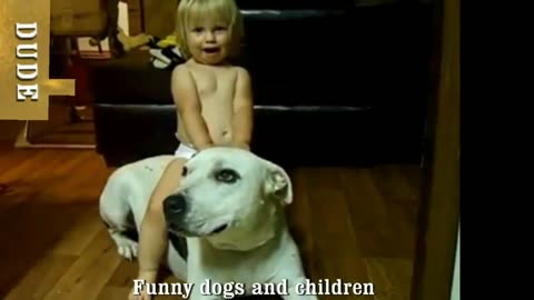 Hilarious Cats and Dogs: The Ultimate Funny Pet Compilation!