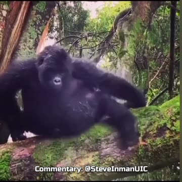 After a hard night of partying.