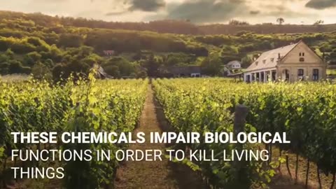 100% of wines tested in California contain pesticides