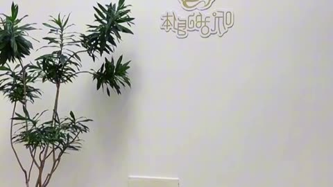 0178.祥龍迴旋