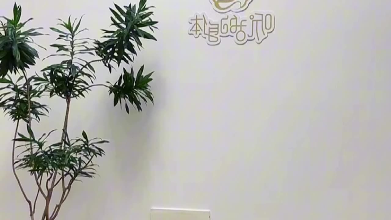 0178.祥龍迴旋