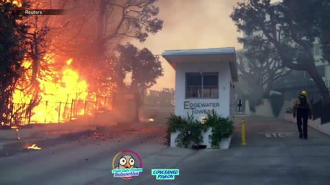 Scene's from the California wildfires