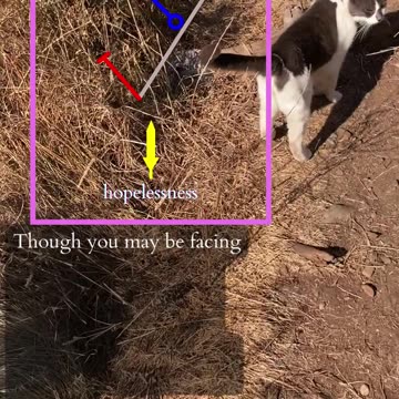 Light My Fire | Path and Tarot Reading