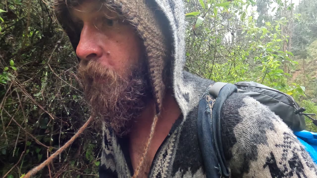 La vida es mejor Q'alachaki