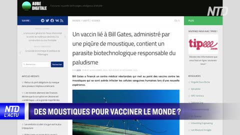 Ils veulent vous vacciner avec des moustiques. Les essais ont déjà commencé.