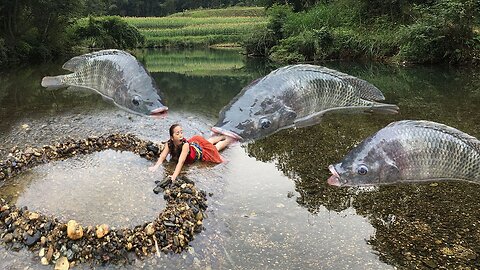 Skill of building fish traps on the river to catch fish