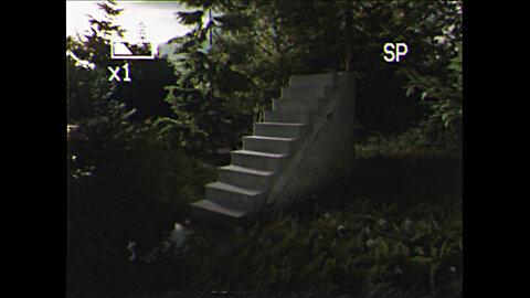 Staircase in the woods.AVI