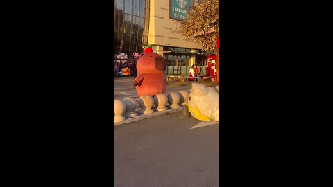 crazy friends | costumes fun | lovely sight | kid behind them really enjoyed them falling