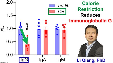 Calorie Restriction Reduces Immunoglobulin G