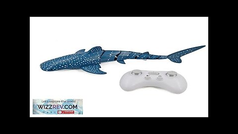 18004 2.4G Simulation Double Waterproof Automatic Cruise Spraying Whale Shark Remote Control Review