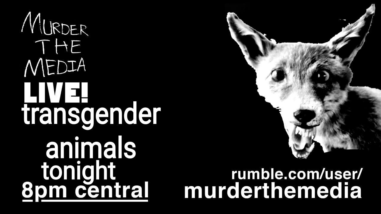 Tranimals