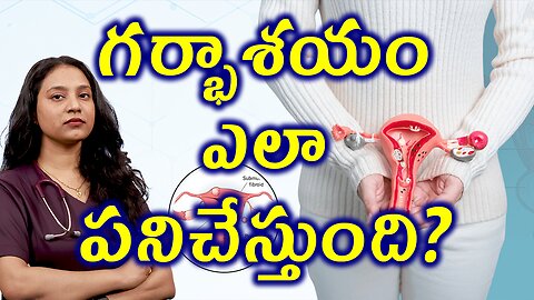 గర్భాశయం ఎలా పనిచేస్తుంది? Structure and Function of Uterus | Fibroids Treatment | హోమియోపతి