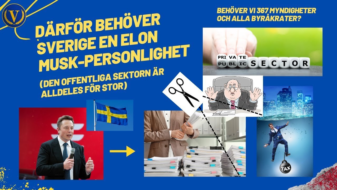 Sverige behöver en Elon Musk-karaktär