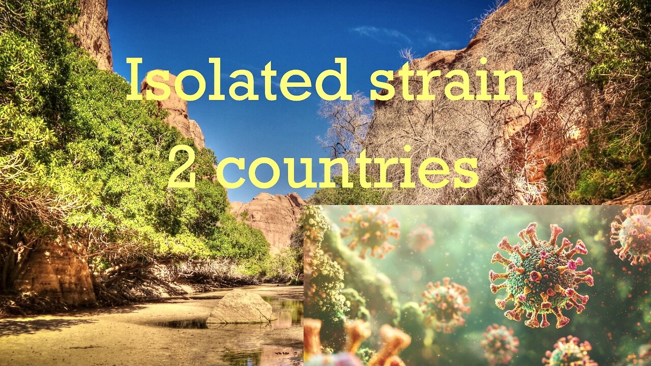 Isolated strain, 2 countries