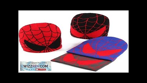 New Cartoon Spider Embroidered Beanies Hat Men Winter Autunm Warm Knitted Bonnet Review