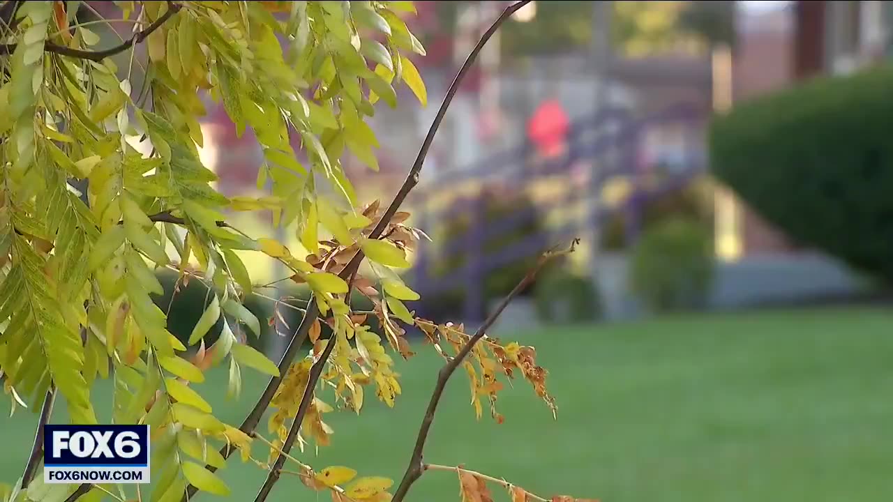 Black kindergarten teacher charged with sexually assaulting of one of his students