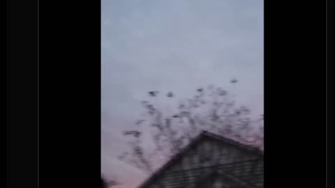 Chemical shit again